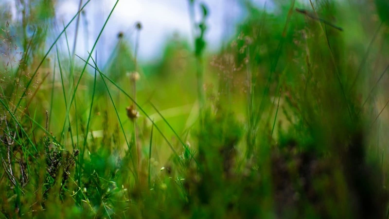 Церковный праздник 22 мая 2025: народные приметы, что нельзя делать в Николин день