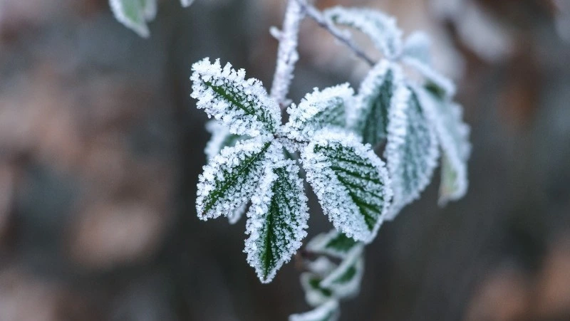 Народные приметы и поверья на 9 ноября 2024 — что нельзя делать в день Параскевы