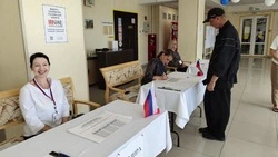 Политтехнолог Хозяинов: выборы на Сахалине проходят с масштабным информированием избирателей