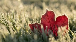 Небольшое потепление и мокрый снег: синоптики дали прогноз погоды в Сахалинской области на неделю