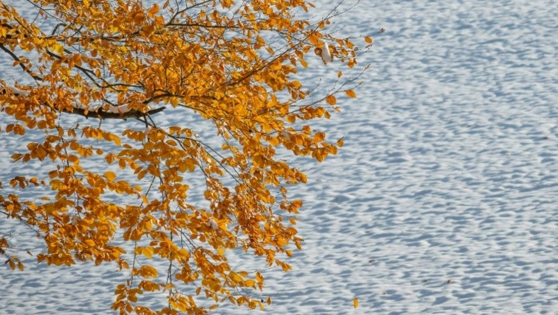 Неустойчивую погоду с осадками пообещали синоптики в Сахалинской области в субботу, 2 ноября