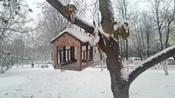 Циклон и снег разной интенсивности нагрянут в Сахалинскую область на предстоящей неделе  