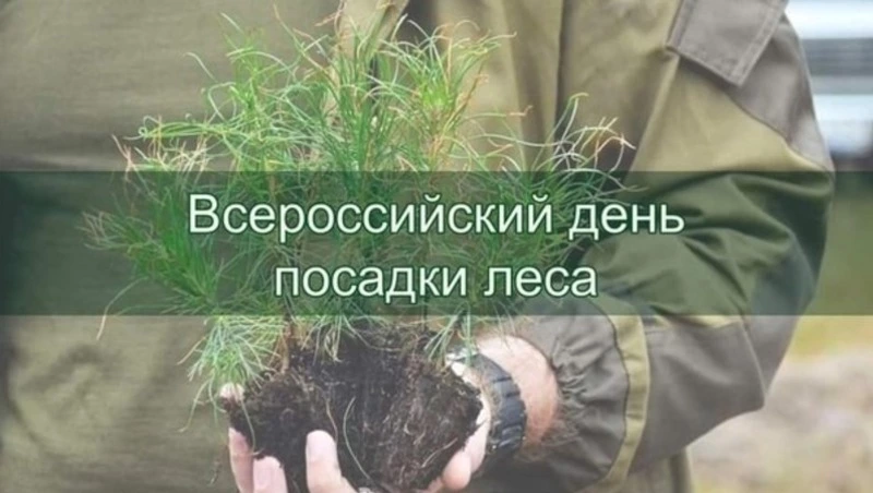 Всероссийский день посадки леса 2025: картинки и открытки 
