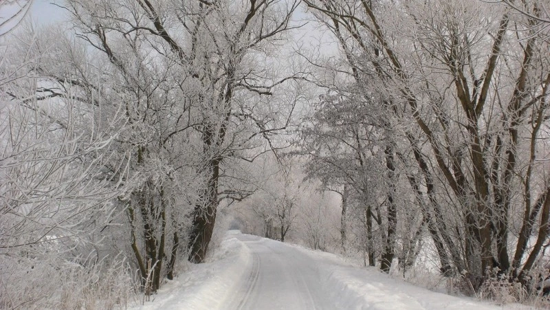Сильный мороз и ветер до 22 м/с: прогноз погоды в Сахалинской области на 18 февраля 