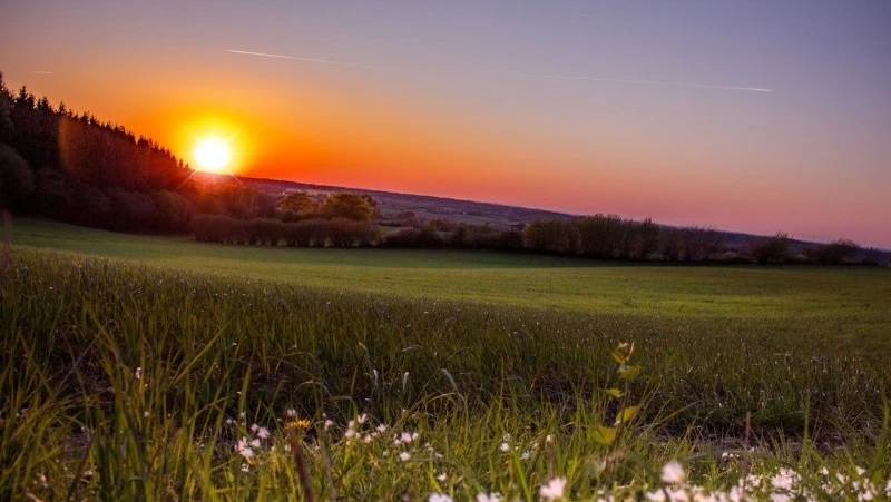 Народные приметы и поверья на 17 июня 2025 года — что нельзя делать в Митрофанов день       