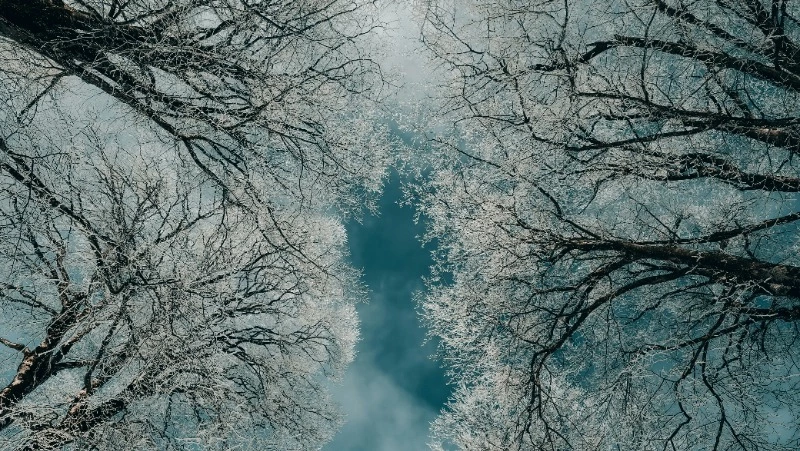 Местами метель и снег: погода в Сахалинской области на 27 февраля