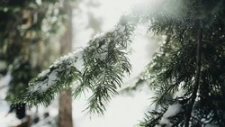 Народные приметы на 30 ноября 2024 — что можно и нельзя делать в день Григория Зимоуказателя 