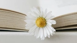 Высокая эрудиция и острый ум — это про вас, если ответите на эти 8 вопросов — ТЕСТ 