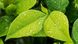 Порывистый ветер и солнце ожидают в Сахалинской области 3 сентября