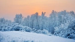 Снег, метель и морозы до -30 градусов: погода в Сахалинской области на неделю  