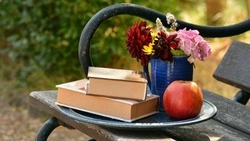 Так еще никто не писал: ТОП-10 остроумных цитат Пушкина, которые должны знать все 