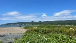 Будет душно: синоптики составили прогноз погоды в Сахалинской области на 16 июля 