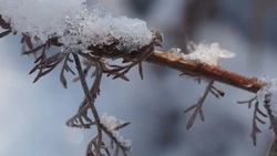 Небольшой плюс и ветер: прогноз погоды в Сахалинской области на 29 ноября 