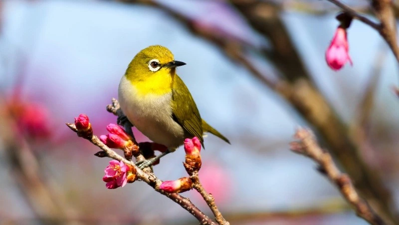 Народные приметы на 24 марта 2025 года: традиции, поверья, что нельзя делать в Ефимов день 