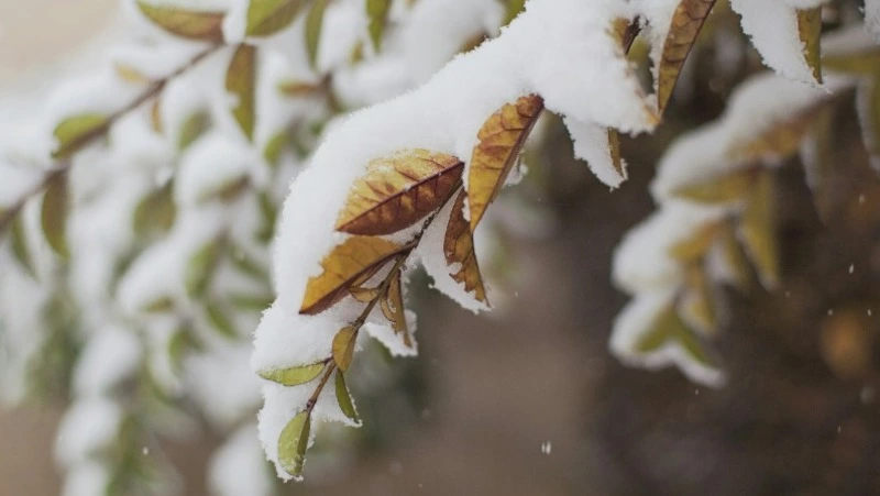 Народные приметы и поверья на 3 ноября 2024 года — что нельзя делать в Илларионов день 