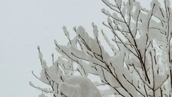 Активный циклон и трескучий мороз: прогноз погоды в Сахалинской области на неделю 