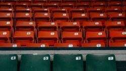 День российского кино 2024: история и интересные факты 