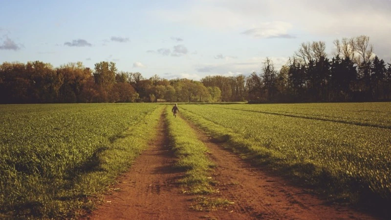 Эксперты рассказали, каким будет лето 2025 года после аномально теплой зимы