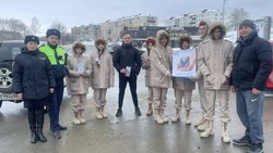 Сотрудники Госавтоспекции совместно с Юнармией провели профилактическую акцию