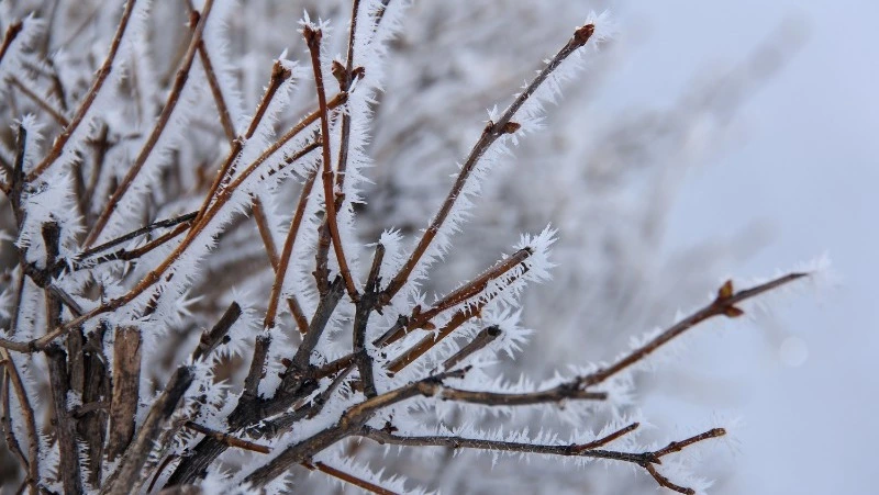 Народные приметы на 6 апреля 2024 года: что нельзя делать 