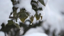 Циклон, дожди и сильный ветер: погода в Сахалинской области на неделю 