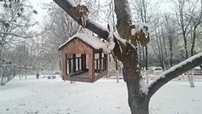 Циклон и снег разной интенсивности нагрянут в Сахалинскую область на предстоящей неделе  