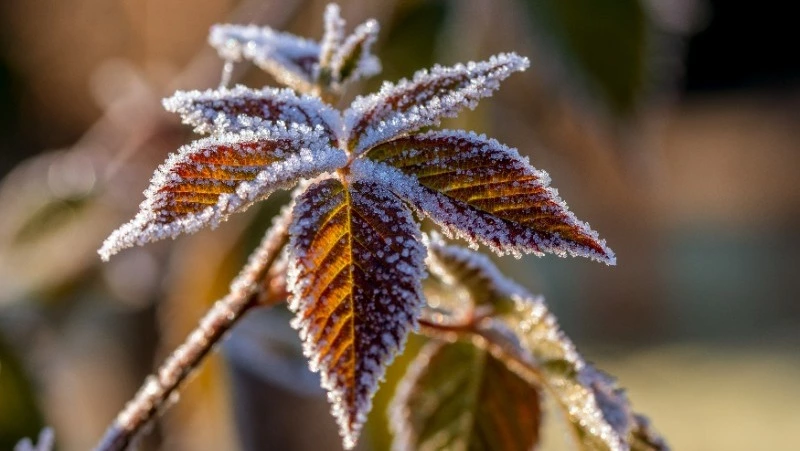 Народные приметы на 19 сентября 2024: что можно и нельзя делать в Михайлов день