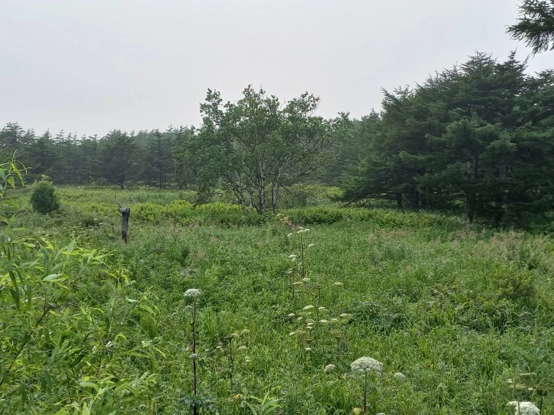 «ОРИОН» открыл новое месторождение в Долинском районе