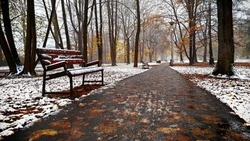 Народный календарь на ноябрь 2024: список праздников 