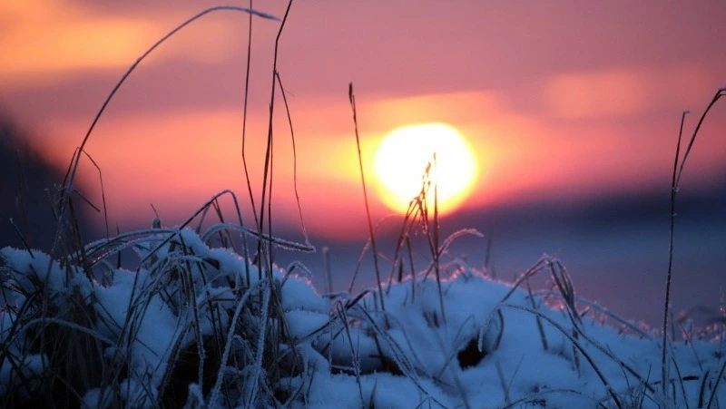 Народные приметы на 25 декабря 2024: традиции, что нельзя делать в Спиридонов день 