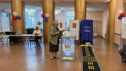 Политолог заявил, что первый день выборов на Сахалине и Курилах прошел в спокойной обстановке