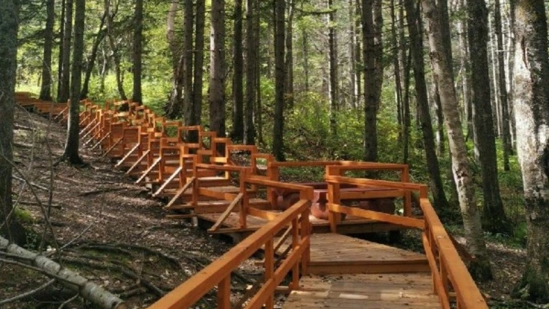 Янтарный: новая история парка