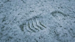 Циклон и кратковременное потепление: прогноз погоды в Сахалинской области на неделю  