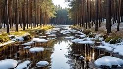 Народные приметы на 23 марта 2025: традиции, поверья, что нельзя делать в Василисин день  