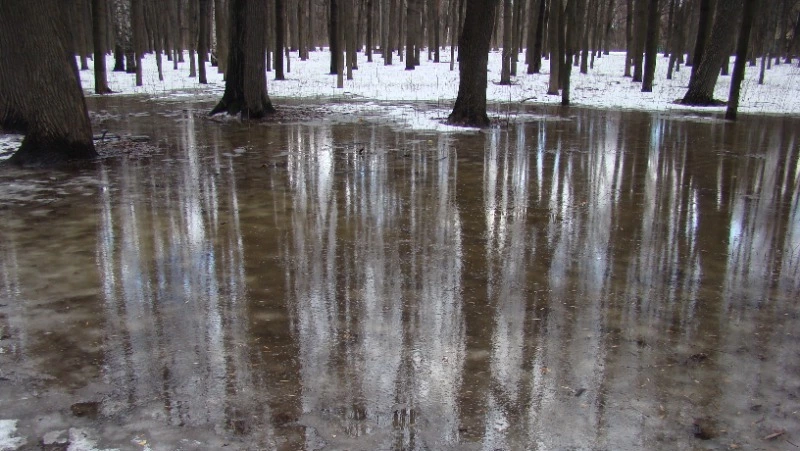 Народные приметы на 15 апреля 2024 года: что нельзя делать 