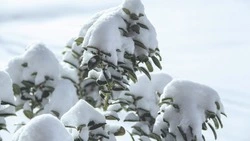 Резкие перепады температур от 0 до -30 ожидаются в Сахалинской области 24 января 