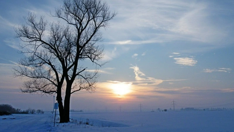 Синоптики дали тревожный прогноз в Сахалинской области на 26 декабря 
