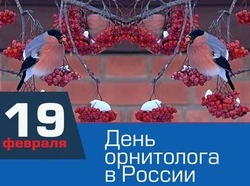 Картинки и открытки с Днем орнитолога 2025 