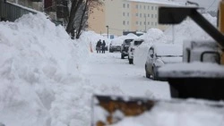 Валерий Лимаренко поручил ускорить работы по вывозу снега в Долинском районе 