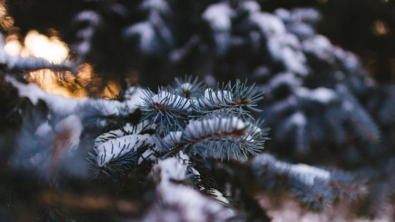 Народные приметы на 27 ноября 2024: традиции, поверья, что нельзя делать в Филиппов день