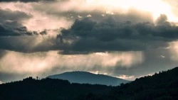 Дожди и +20 градусов: стал известен прогноз погоды в Сахалинской области на 30 июля 