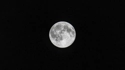 Когда будет «голубая Луна» в 2024 году?