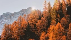 День осеннего равноденствия-2024: дата, приметы и что нельзя делать