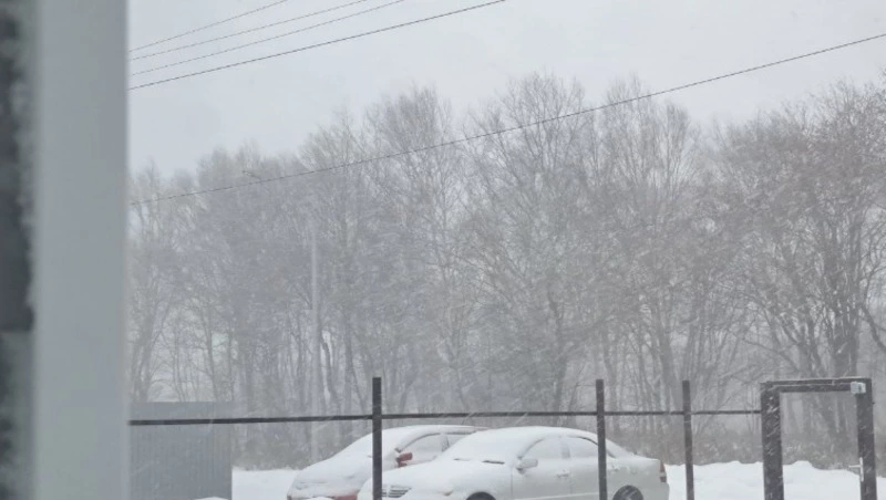 Метели, снег и сильный ветер охватят Сахалинскую область 5 февраля 