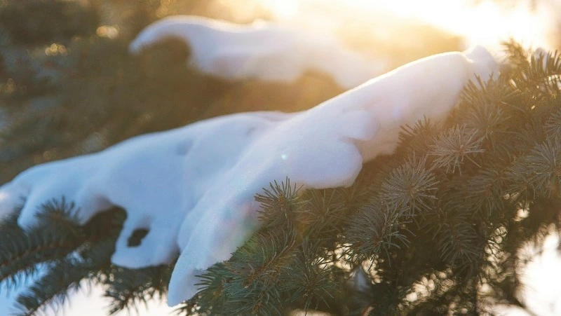 Народные приметы на 4 февраля 2025: традиции, что нельзя делать в Тимофеев день 