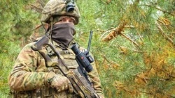 Служба по контракту в России: выплаты, льготы и поддержка для военнослужащих и их семей