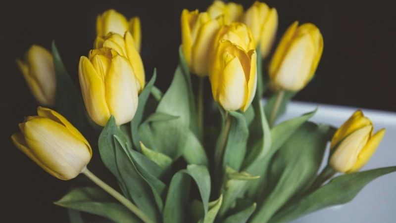 Лучшие идеи подарков на 8 марта, которые понравятся любой женщине 