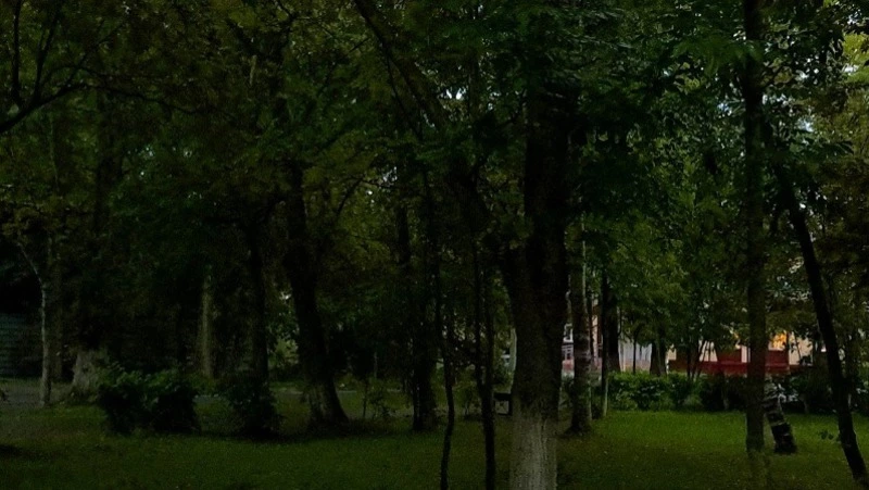 Снова дожди: прогноз погоды в Сахалинской области с 24 по 30 августа 