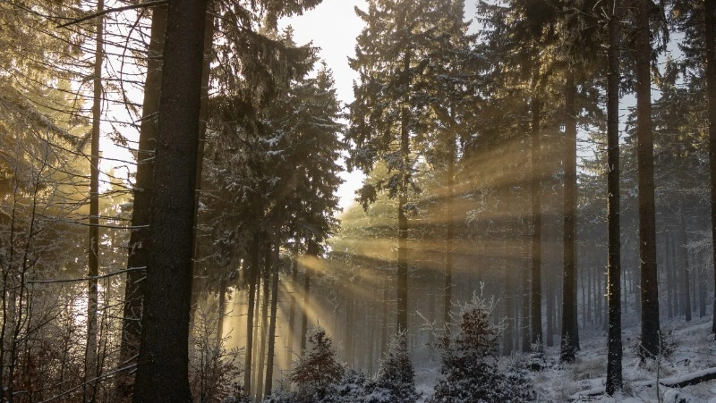 Народные приметы на 13 марта 2024 года: что нельзя делать 