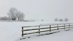 Циклон принесет сильную метель в Сахалинскую область 28 января        